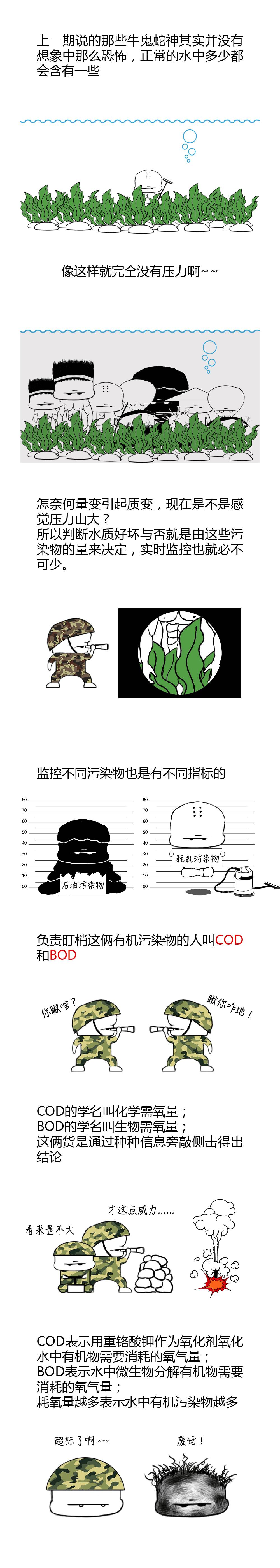 COD、BOD、TP、TN最接地氣的解釋